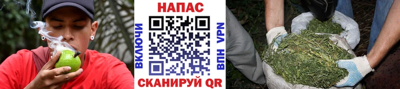 Каннабис VHQ  OMG маркетплейс  Шенкурск 